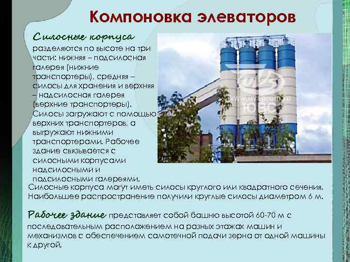 Компоновка элеваторов Силосные корпуса разделяются по высоте на три части: нижняя – подсилосная галерея