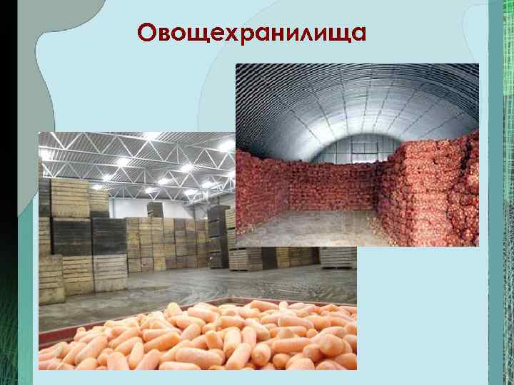 Овощехранилища 