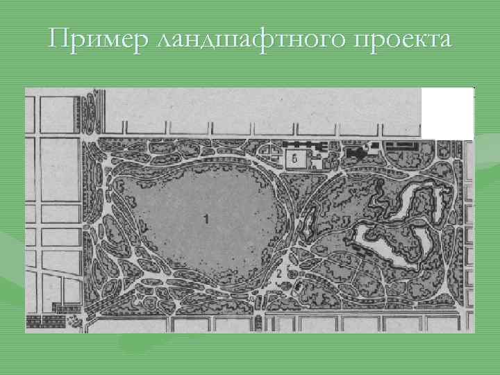 Пример ландшафтного проекта 