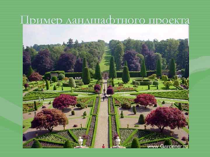 Пример ландшафтного проекта 