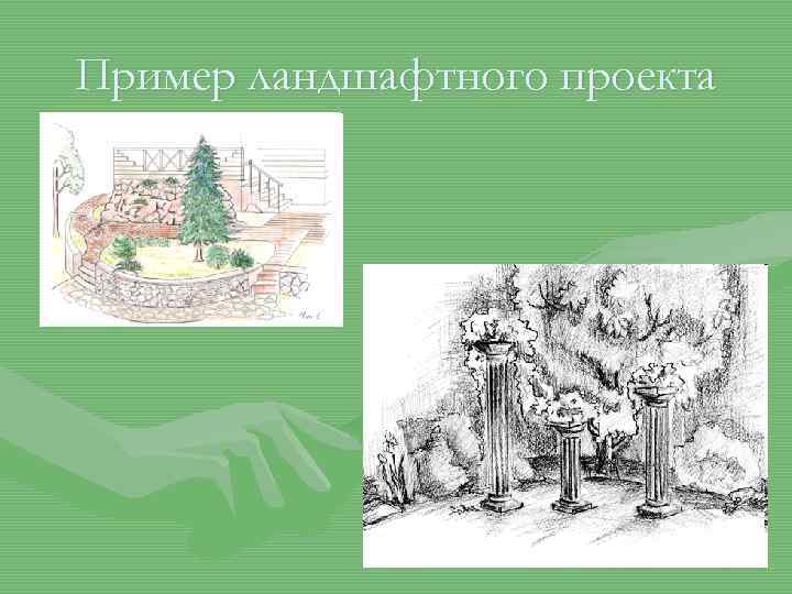 Пример ландшафтного проекта 