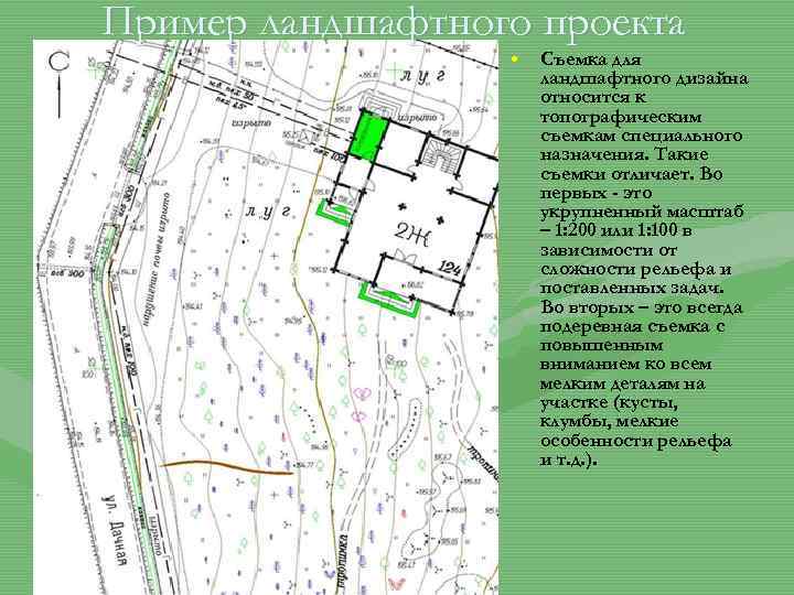 Топографический план подеревной съемки