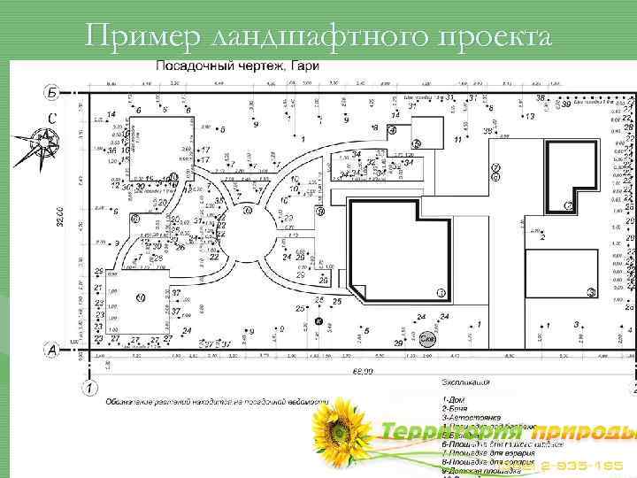 Пример ландшафтного проекта 