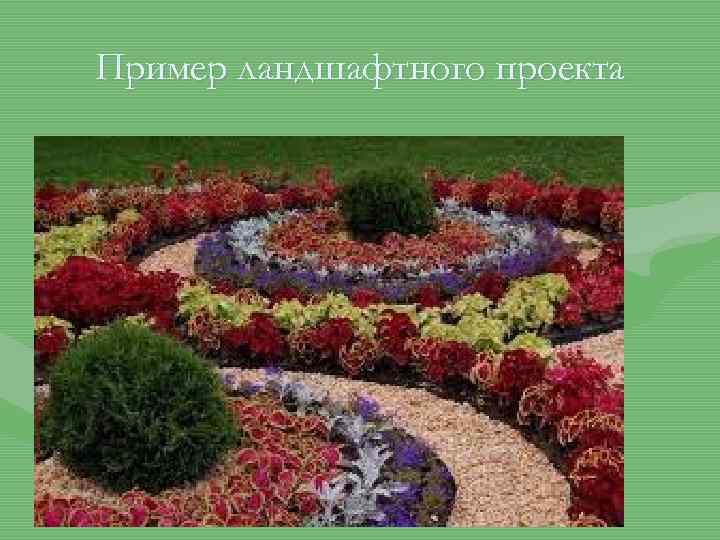 Пример ландшафтного проекта 