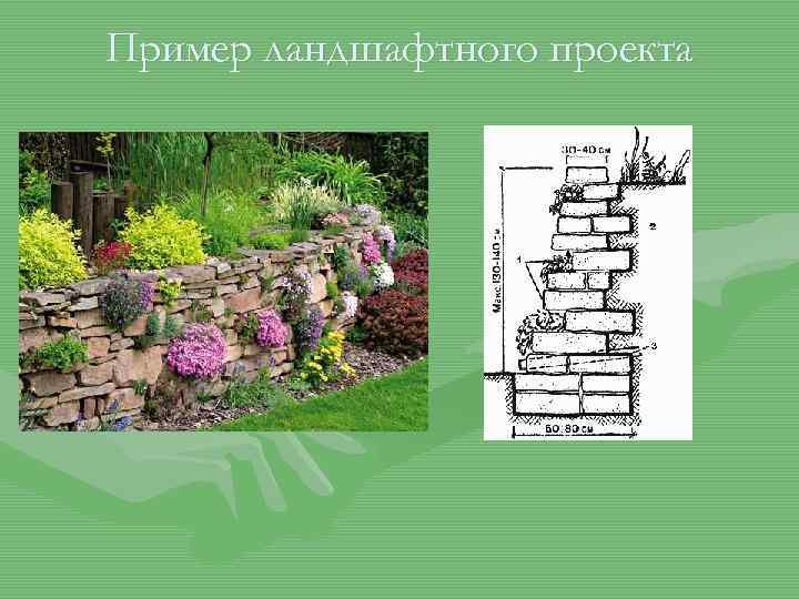 Пример ландшафтного проекта 