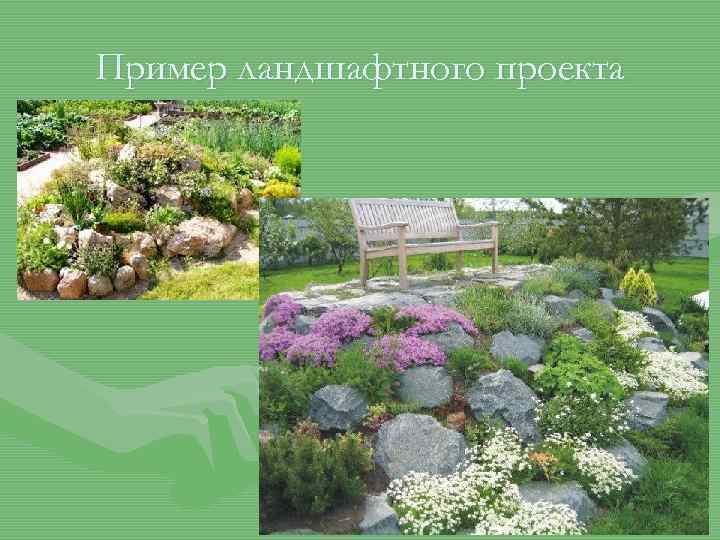 Пример ландшафтного проекта 