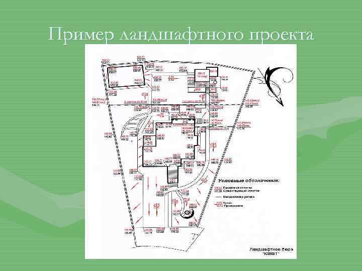 Пример ландшафтного проекта 