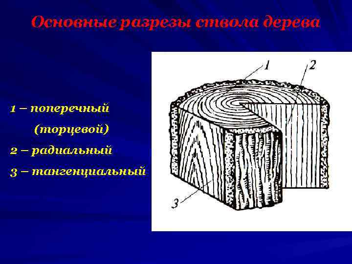 Как называется рисунок на продольном разрезе древесины