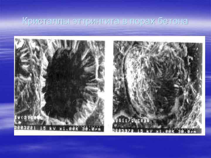Кристаллы эттрингита в порах бетона 