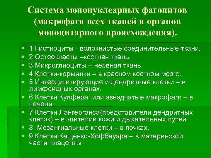 Система мононуклеарных фагоцитов (макрофаги всех тканей и органов моноцитарного происхождения). § § § §