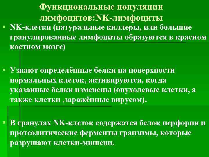 Функциональные популяции лимфоцитов: NK-лимфоциты § NK-клетки (натуральные киллеры, или большие гранулированные лимфоциты образуются в