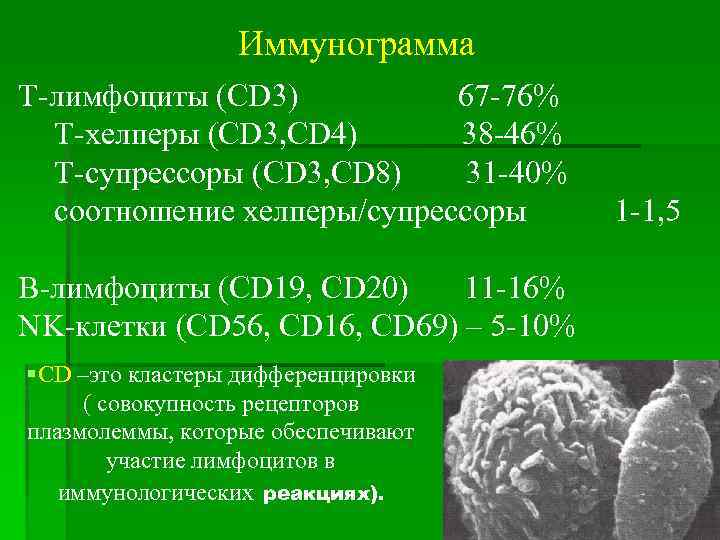 Три сд. Cd8 лимфоциты функции. Cd4 лимфоциты норма. Cd4 лимфоциты расшифровка. Cd4 и cd8 лимфоциты.