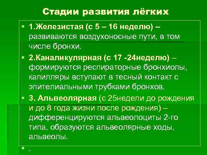 Развитие легких. Стадии развития легких. Этапы формирования легких. Альвеолярная стадия развития легких. Железистая стадия развития легких.