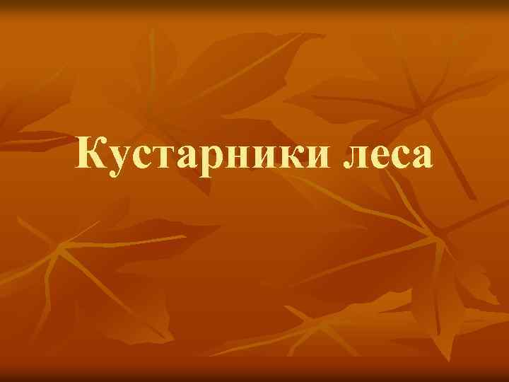 Кустарники леса 