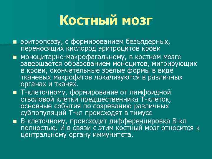 Костный мозг n n эритропоэзу, с формированием безъядерных, переносящих кислород эритроцитов крови моноцитарно-макрофагальному, в