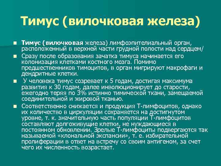 Тимус (вилочковая железа) n n Тимус (вилочковая железа) лимфоэпителиальный орган, расположенный в верхней части