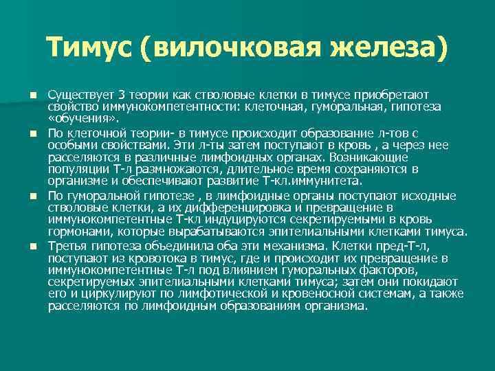 Тимус (вилочковая железа) Существует 3 теории как стволовые клетки в тимусе приобретают свойство иммунокомпетентности:
