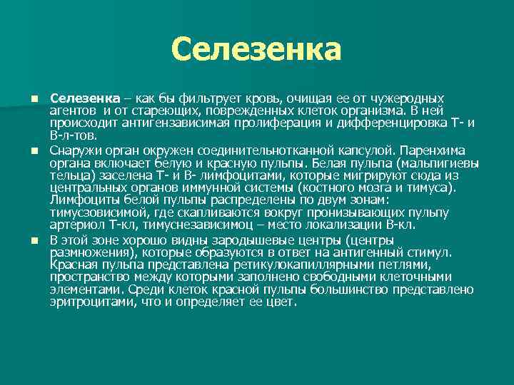 Селезенка – как бы фильтрует кровь, очищая ее от чужеродных агентов и от стареющих,