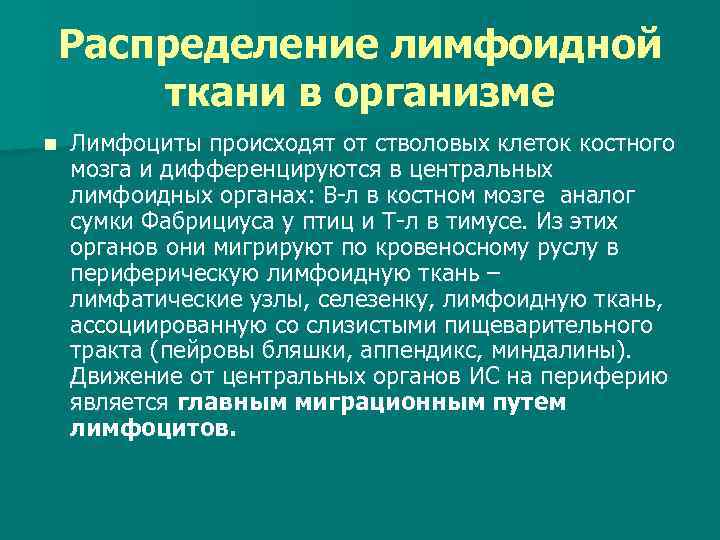 Распределение лимфоидной ткани в организме n Лимфоциты происходят от стволовых клеток костного мозга и