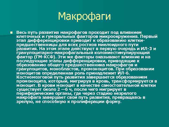 Макрофаги n Весь путь развития макрофагов проходит под влиянием клеточных и гуморальных факторов микроокружения.