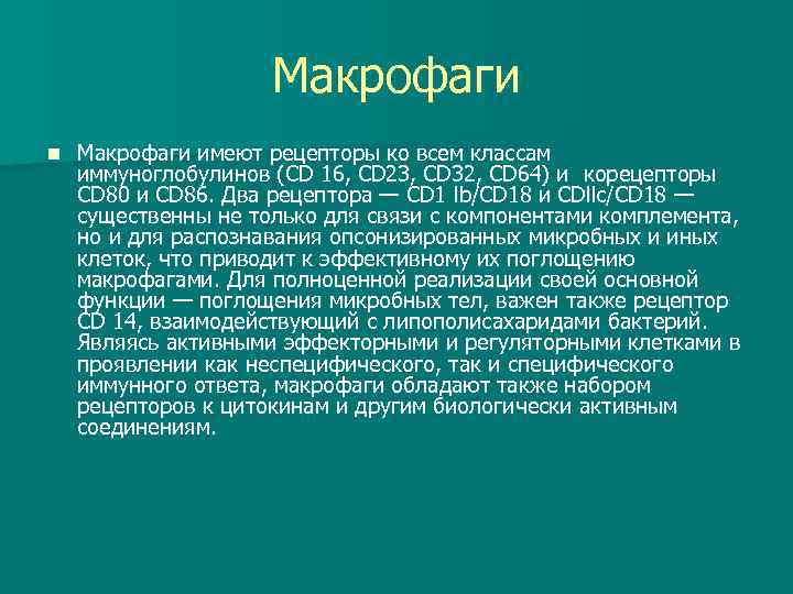 Макрофаги n Макрофаги имеют рецепторы ко всем классам иммуноглобулинов (CD 16, CD 23, CD