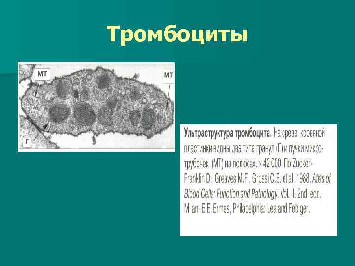 Тромбоциты 