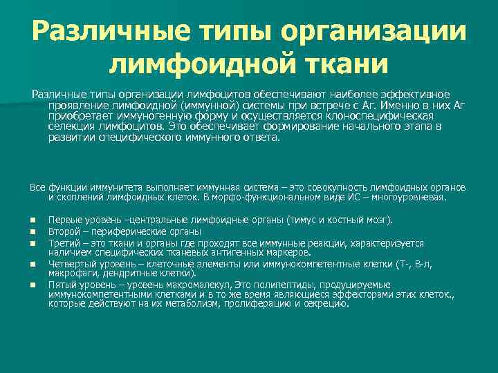 Различные типы организации лимфоидной ткани Различные типы организации лимфоцитов обеспечивают наиболее эффективное проявление лимфоидной