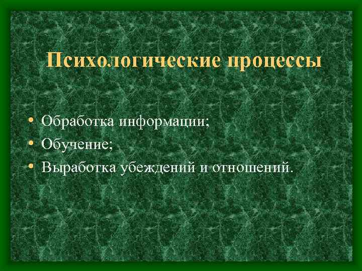Психологические процессы • Обработка информации; • Обучение; • Выработка убеждений и отношений. 