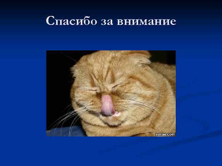 Спасибо за внимание 