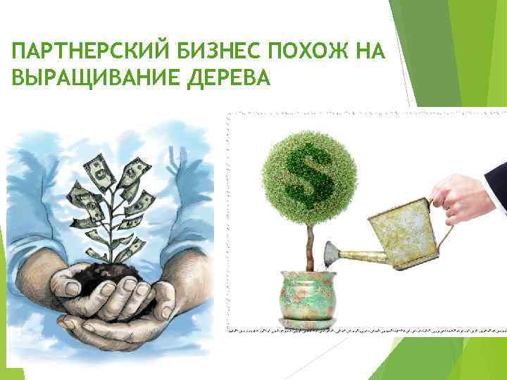 ПАРТНЕРСКИЙ БИЗНЕС ПОХОЖ НА ВЫРАЩИВАНИЕ ДЕРЕВА 