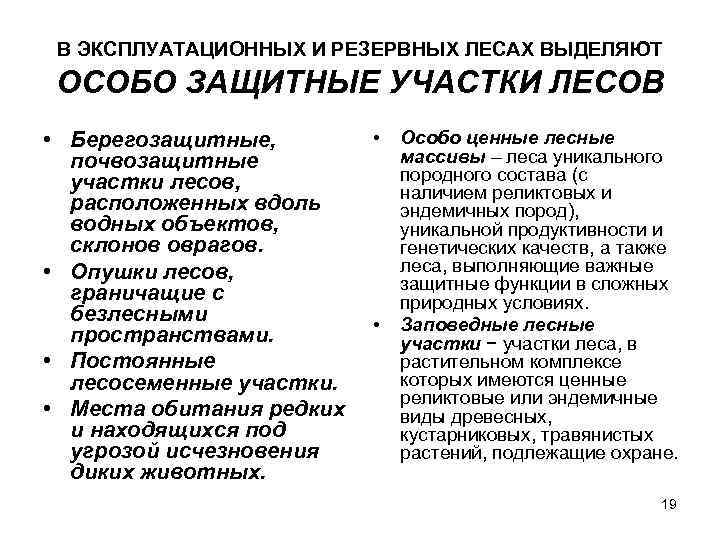 В ЭКСПЛУАТАЦИОННЫХ И РЕЗЕРВНЫХ ЛЕСАХ ВЫДЕЛЯЮТ ОСОБО ЗАЩИТНЫЕ УЧАСТКИ ЛЕСОВ • Берегозащитные, почвозащитные участки