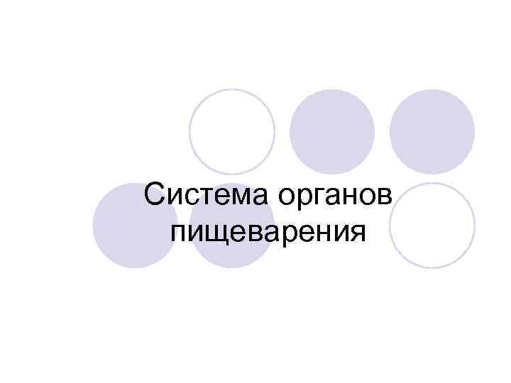 Система органов пищеварения 