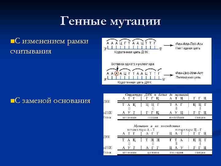 Генные мутации n. С изменением рамки считывания n. С заменой основания 