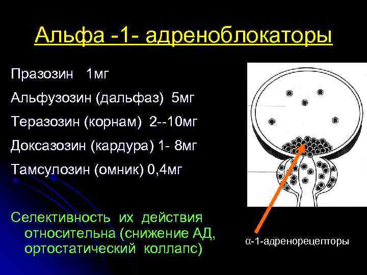 Альфа -1 - адреноблокаторы Празозин 1 мг Альфузозин (дальфаз) 5 мг Теразозин (корнам) 2