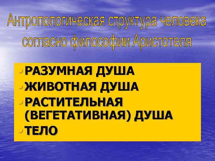  • РАЗУМНАЯ ДУША • ЖИВОТНАЯ ДУША • РАСТИТЕЛЬНАЯ (ВЕГЕТАТИВНАЯ) ДУША • ТЕЛО 