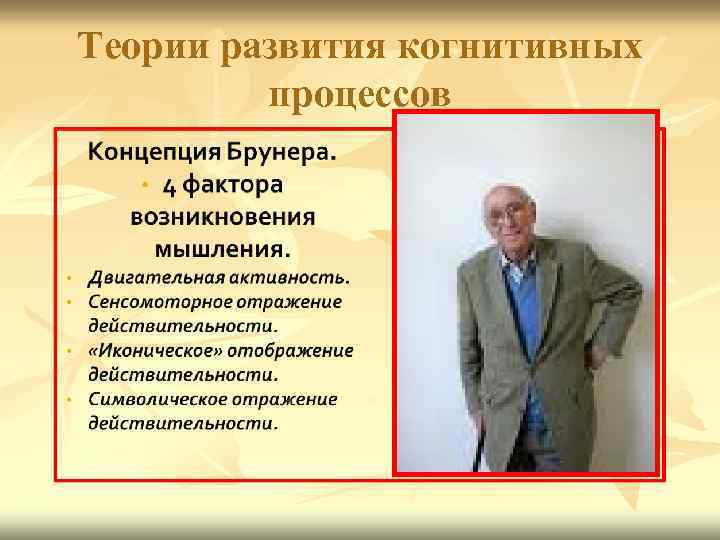 Теории развития когнитивных процессов 