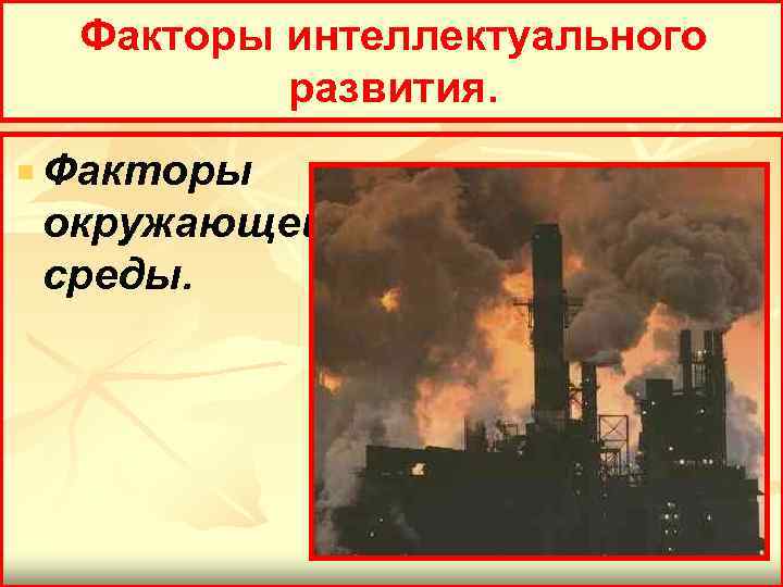 Факторы интеллектуального развития. Факторы окружающей среды. 