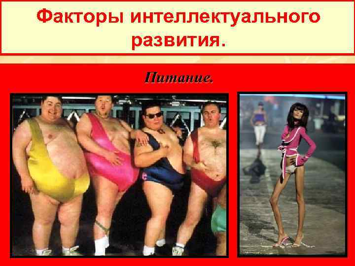 Факторы интеллектуального развития. Питание. 
