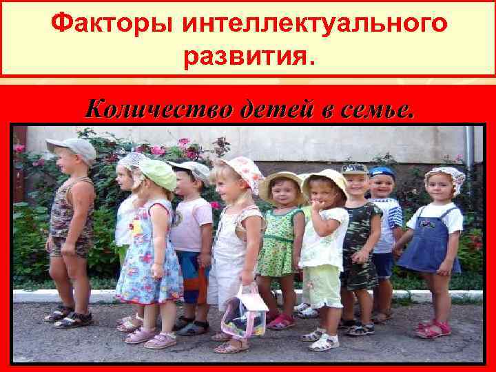Факторы интеллектуального развития. Количество детей в семье. 
