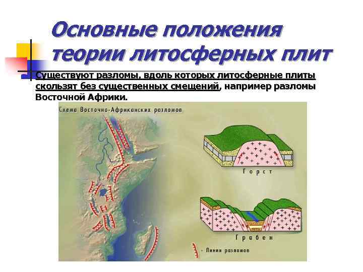 Основные положения теории литосферных плит n Существуют разломы, вдоль которых литосферные плиты скользят без