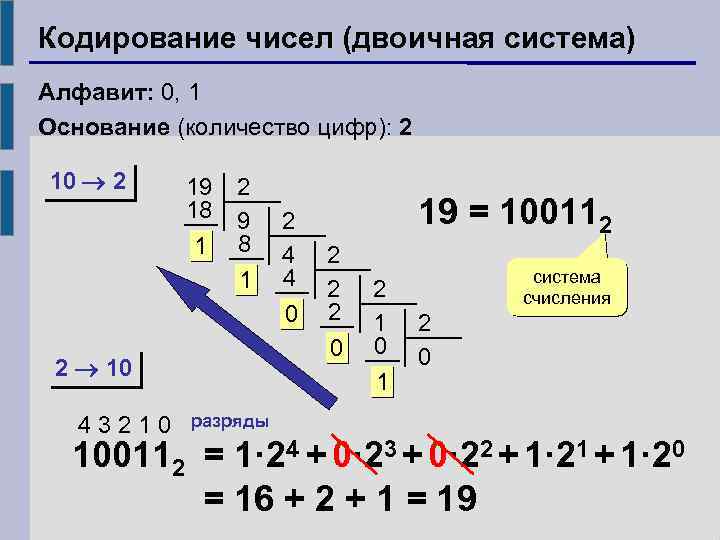 Кодировка чисел. Кодирование в двоичной системе счисления. Алфавит в двоичной системе. Кодировка чисел в двоичной системе счисления. Цифра 2 в двоичной системе.