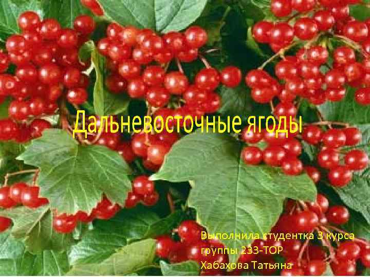 Выполнила студентка 3 курса группы 233 -ТОР Хабахова Татьяна 