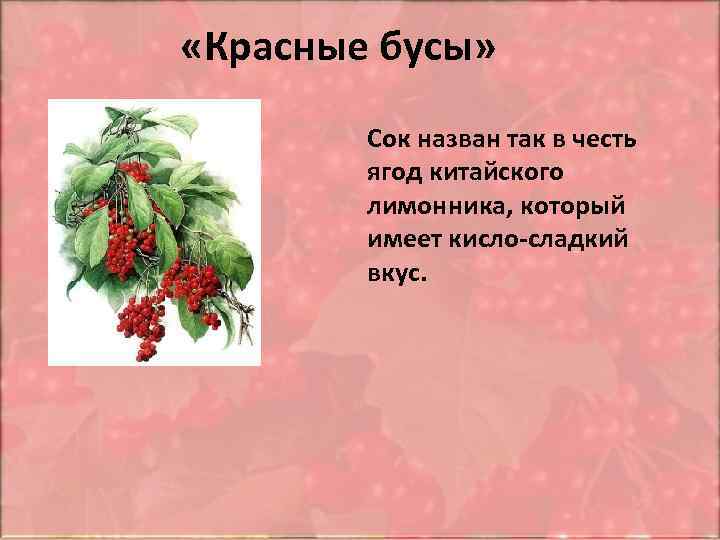  «Красные бусы» Сок назван так в честь ягод китайского лимонника, который имеет кисло-сладкий