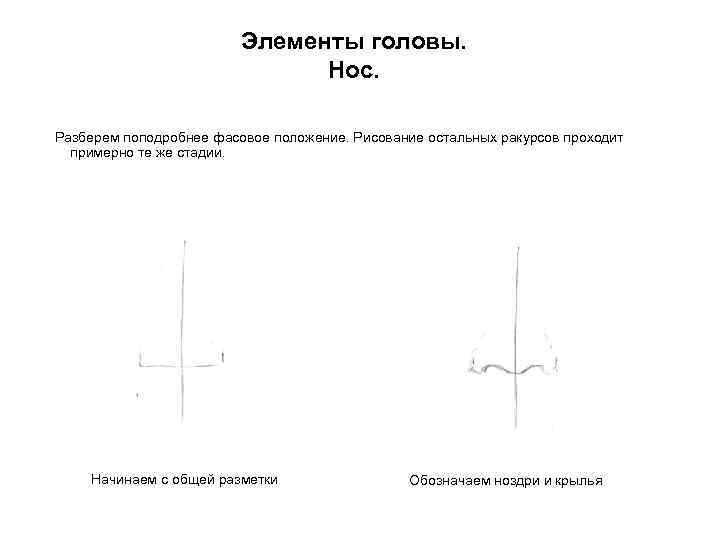 Элементы головы. Нос. Разберем поподробнее фасовое положение. Рисование остальных ракурсов проходит примерно те же