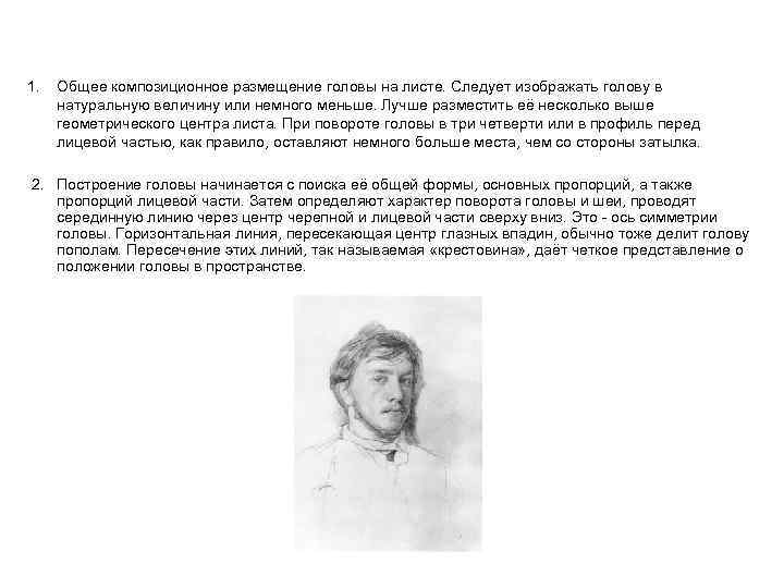 1. Общее композиционное размещение головы на листе. Следует изображать голову в натуральную величину или