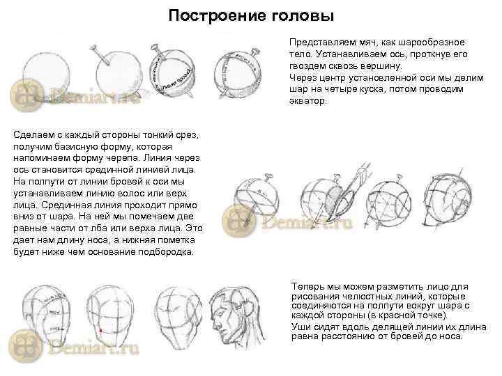 Построение головы Представляем мяч, как шарообразное тело. Устанавливаем ось, проткнув его гвоздем сквозь вершину.