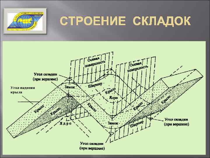 СТРОЕНИЕ СКЛАДОК 