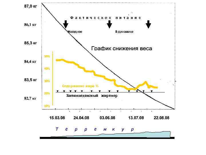 Ф а к т и ч е с к о е п и т