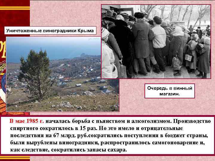 Уничтоженные виноградники Крыма Очередь в винный магазин. В мае 1985 г. началась борьба с
