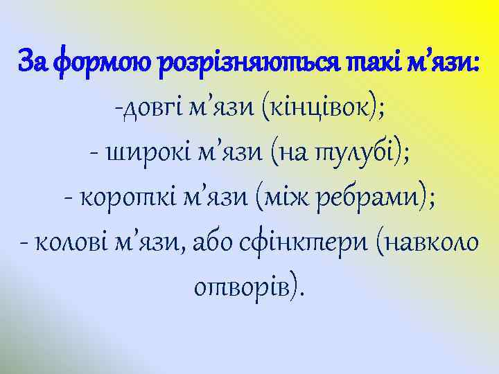 За формою розрізняються такі м’язи: -довгі м’язи (кінцівок); - широкі м’язи (на тулубі); -